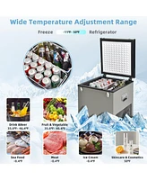 68 Quart Car Refrigerator with Compressor for Dc 12/24V and Ac 100-240V