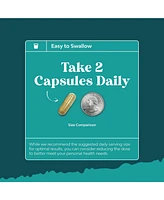 Liver Support + Nac Capsules | Supports Liver Cleanse | N Acetyl Cysteine Silymarin Milk Thistle, Choline Bitartrate & Berberine | 60ct