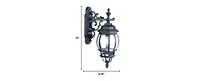 Hanging Glass Globe Wall Light for Bedroom Hallway or Living Room