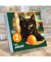 2026 Cat A Day Daily Desktop Calendar