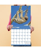 2026 Sloths Wall Calendar