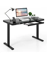 48-Inch Height Adjustable Electric Standing Desk with Drawer