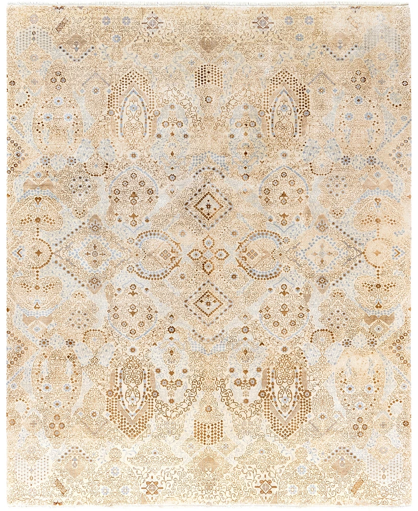 Adorn Hand Woven Rugs Indian Oak M6363 8'2"x10'1" Area Rug
