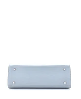 Pre-Owned Delvaux Gm Tempete Top Handle Bag Leather