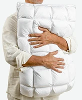 FabricTech Softcell Lite Pillow, Standard