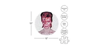 David Bowie Aladdine Sane 450 Piece Record Disc Jigsaw Puzzle