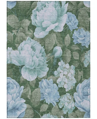 Addison Chantille Machine Washable ACN1566 8'x10' Area Rug