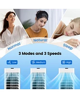 3-in-1 Evaporative Air Cooler with Remote for Home Office