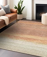 Addison Chantille Machine Washable ACN1274 10'x14' Area Rug
