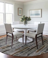 Addison Chantille Machine Washable ACN1306 8'x8' Round Area Rug