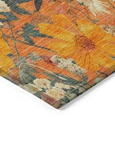 Addison Chantille Machine Washable Acn1510 Area Rug Collection
