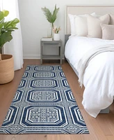 Addison Chantille Machine Washable ACN1459 2'3"x7'6" Runner Area Rug