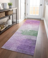 Addison Chantille Machine Washable ACN1519 2'3"x7'6" Runner Area Rug