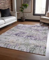 Addison Chantille Machine Washable ACN1379 5'x7'6" Area Rug