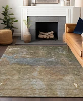 Addison Chantille Machine Washable ACN1364 8'x10' Area Rug
