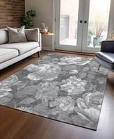 Addison Chantille Machine Washable Acn1562 Area Rug Collection