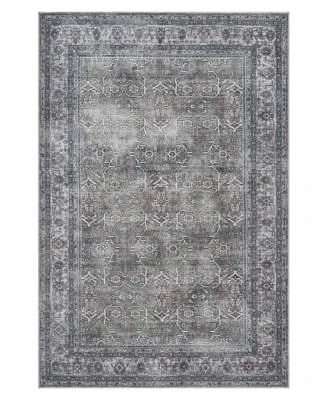 Amer Rugs Alaska Machine Washable Ala6 Rug Collection