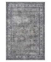 Amer Rugs Alaska Machine Washable Ala6 Rug Collection
