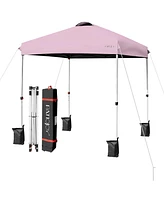 Outdoor Pop-up Canopy Tent with Roller Bag for Easy Transport and Setup