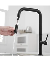 Single Handle Pull-Down Sprayer 1 Spray High Arc Kitchen Faucet With Deck Plate in Matte Black