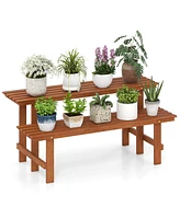 2-Tier Wood Plant Stand Ladder Plant Shelf for Indoor Outdoor