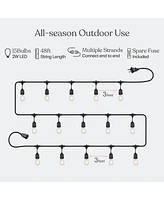 Ambience Pro 48 ft. Indoor/Outdoor Led Weatherproof 2-Watt String Lights with Warm White Hue