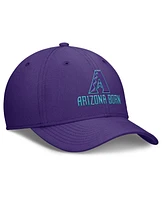 Nike Men's Purple Arizona Diamondbacks 2025 City Connect Rise Swoosh Performance Flex Hat