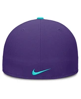 Nike Men's Purple Arizona Diamondbacks 2025 City Connect True Performance Fitted Hat