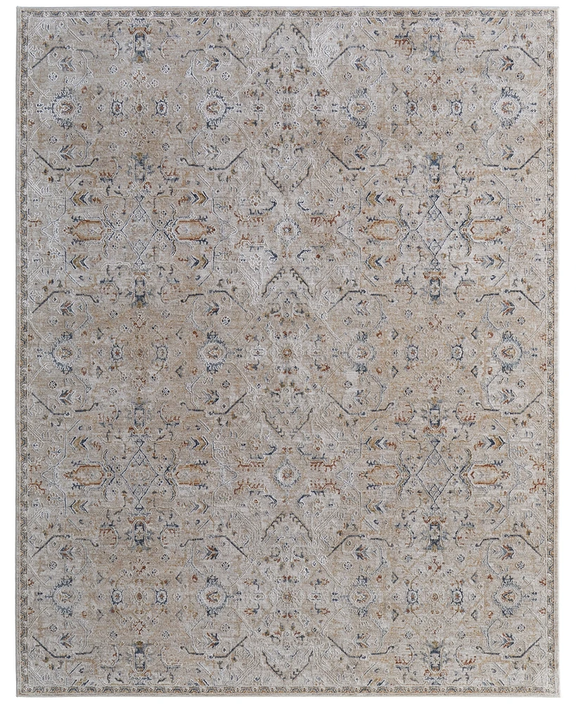 Feizy Pasha 39M6F 6'7"x9'6" Area Rug