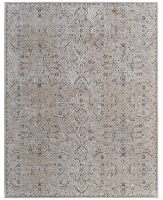 Feizy Pasha 39M6F 6'7"x9'6" Area Rug