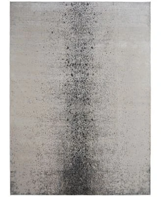 Feizy Astra 39l2f Rug Collection