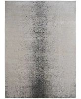 Feizy Astra 39l2f Rug Collection