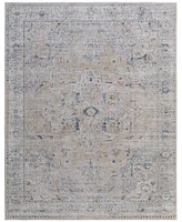 Feizy Pasha 39M5F 7'10"x10'3" Area Rug