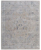 Feizy Pasha 39m5f Rug Collection