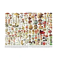 New York Puzzle Company Mushrooms Champignons 1000 Piece Puzzle