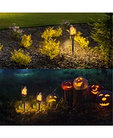 Pack Waterproof Flame Solar Torch Light