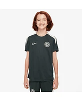 Nike Big Boys and Girls Green Chelsea 2025/26 Strike Raglan Top