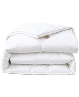 Nikki Chu 300-Thread Count Down Comforter