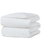 Avocado 500-Thread Count Down Comforter