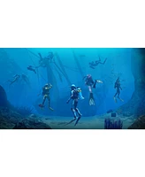 Endless Ocean Luminous for Nintendo Switch