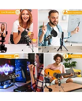 ZealSound k08g Usb Recording Microphone Gold and H1 Gooseneck Mic Arm Stand
