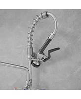 Greenspring Commercial Restaurant Pull Down 2-Handle Wall Mount Pre-Rinse Spray Utility Kitchen Faucet Polished Chrome
