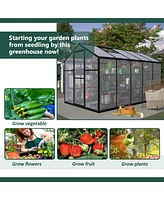 Mondawe 6'x12' Thick Polycarbonate Greenhouse with Double Flush Door
