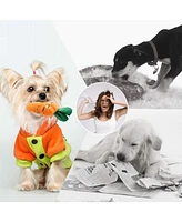 Nocciola 12 Pcs Dog Squeaky Toys with Takeout Bag, Christmas gift,Cute Plush Small Dog Toys for Small to Medium Dogs
