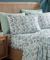 Caribbean Joe Cooling 6-Pc. Sheet Set