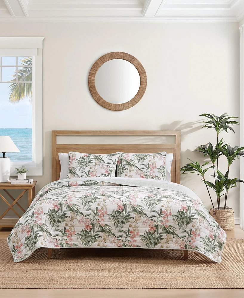 Tommy Bahama Island Orchid Cotton Reversible 3-Pc. Quilt Set