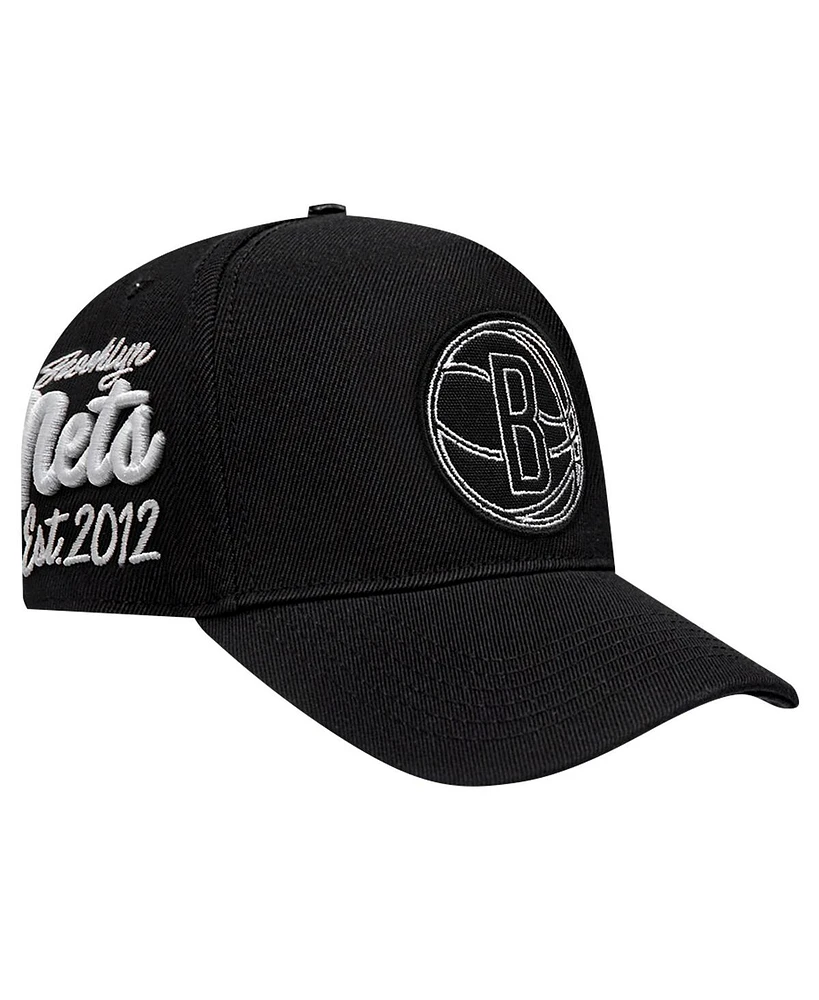 Pro Standard Men's Black Brooklyn Nets Paint the City Pinch Front Snapback Hat