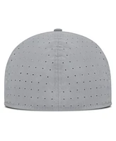 Nike Men's Gray Houston Astros True Performance Fitted Hat