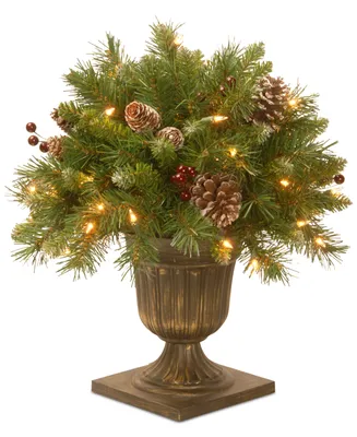 National Tree Company 18" Frosted Berry Porch Bush with 35 Clear Lights