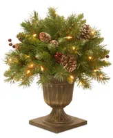 National Tree Company 18" Frosted Berry Porch Bush with 35 Clear Lights